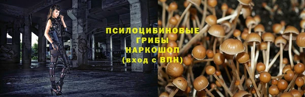 прущие крисы Алексин